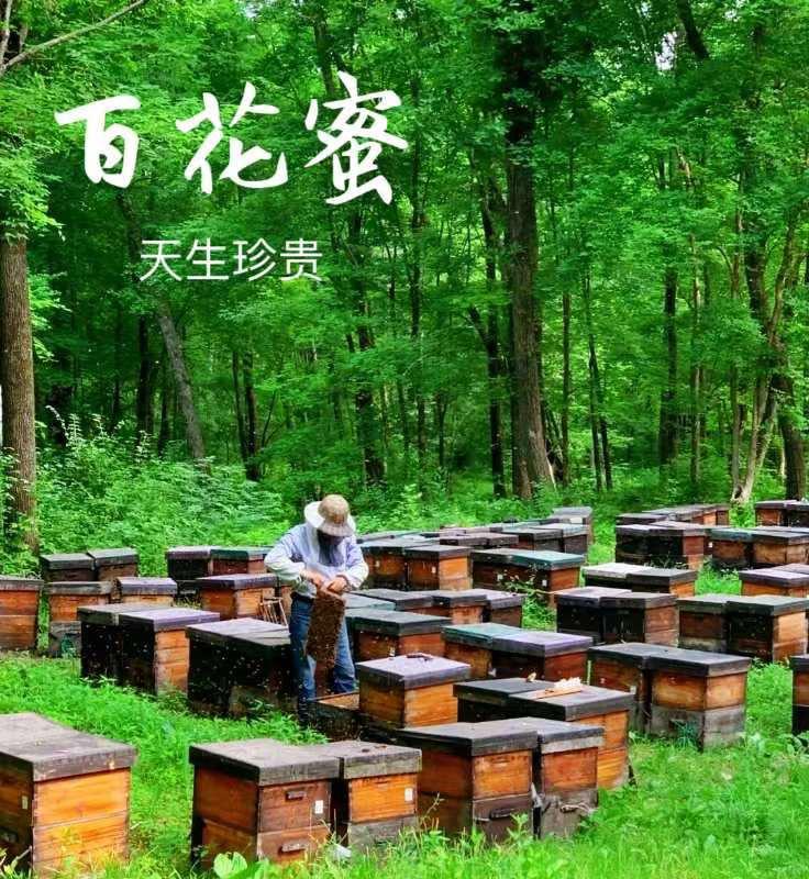 贵蜜传奇——贵州山区传家珍藏，自家蜂场呵护的天然甘露！
