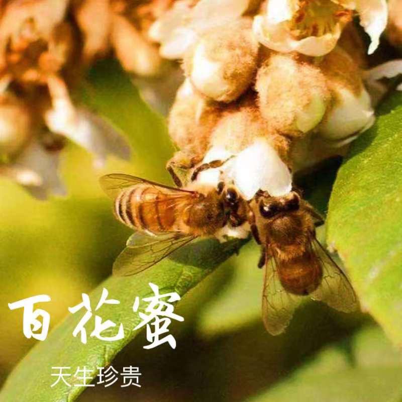 贵蜜传奇——贵州山区传家珍藏，自家蜂场呵护的天然甘露！